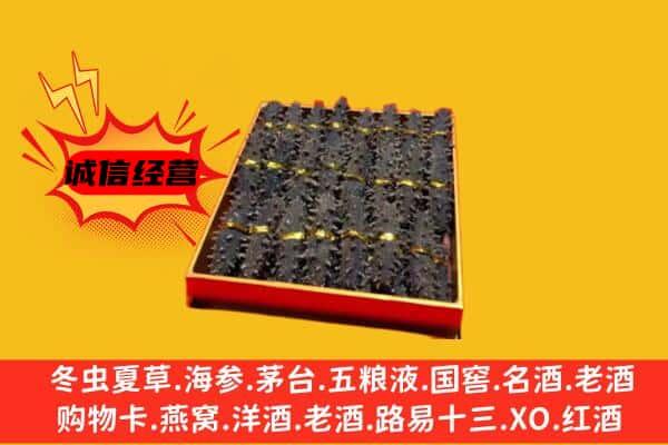 坡头区回收海参